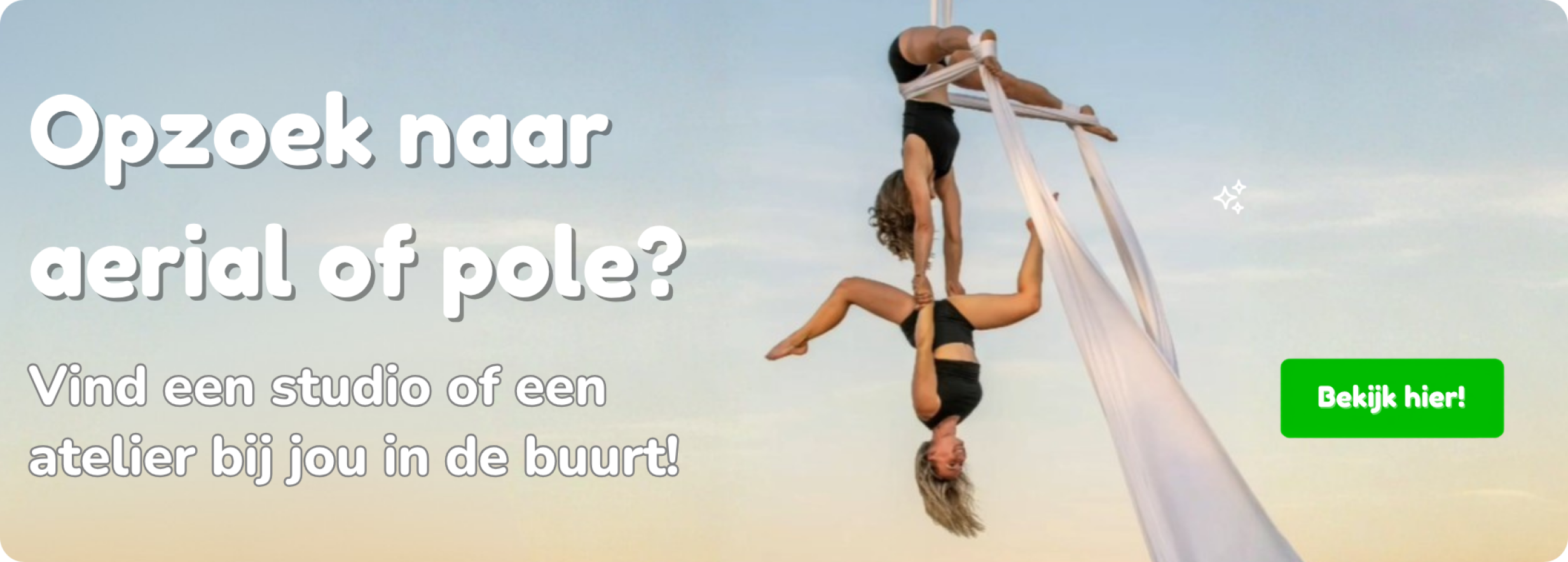 Jeugdcircus banner desktop
