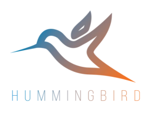 YoYoFriends | Hummingbird Roze/regenboog ringen