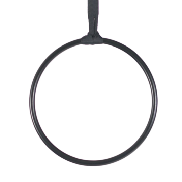 Aerial Mini Hoop