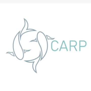 YoYoFriends | Carp YoYoFriends | Carp